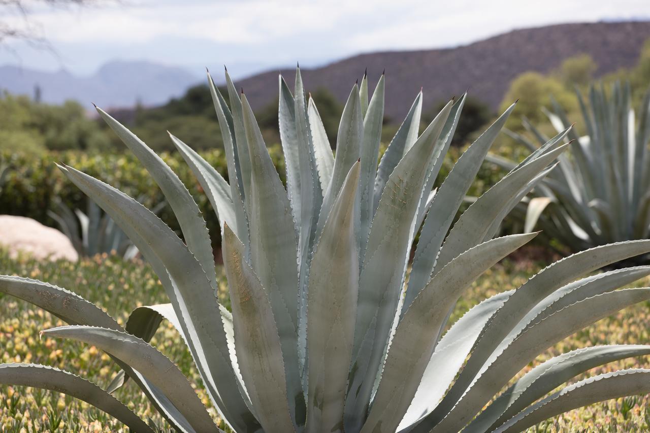 מולינוס Estancia Colome מראה חיצוני תמונה
